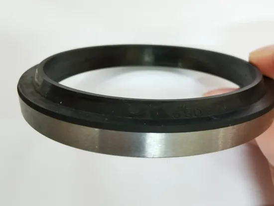 Metal Wiper PU with Iron Lip Seals Dust Wiper Seal for Cylinder Hydraulic Wipers